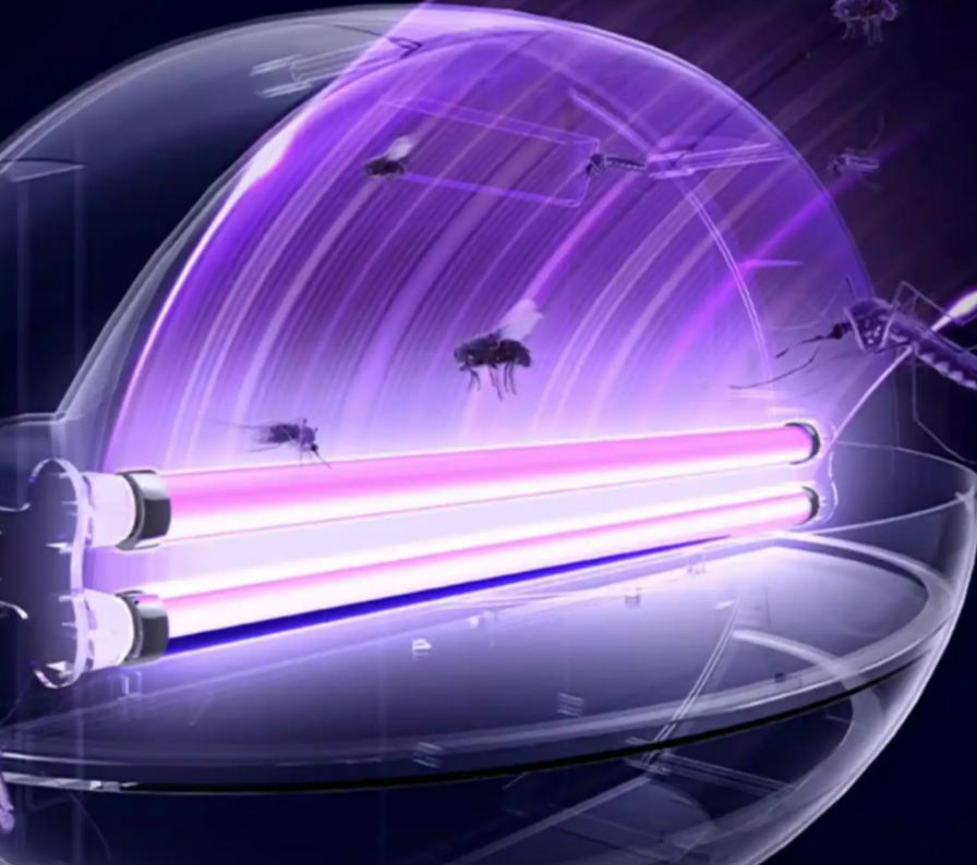 LED Fly Killer Light Highting Hight Hight Highting ၏နေ့စဉ်ထိန်းသိမ်းခြင်း